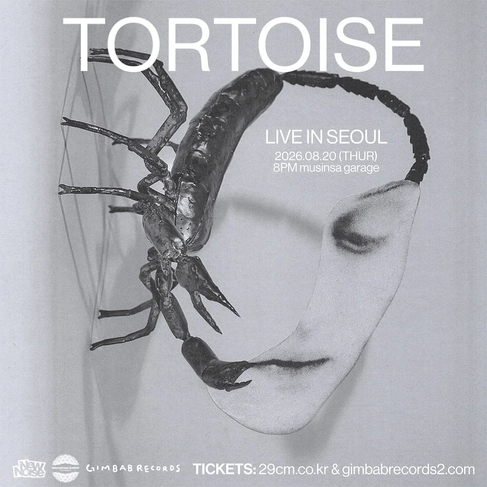 Tortoise Live in Seoul